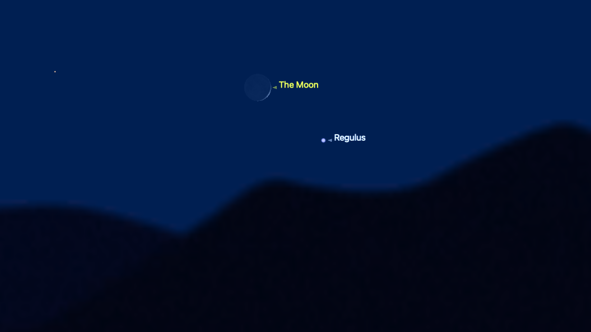 The location of a thin crescent moon is shown for the night of July 26 against a simulated night sky above a dark horizon. The bright star Regulus is labelled to the lower left of the moon's disk.