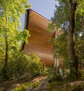 gulbenkian foundation's new art museum with swooping kengo kuma timber roof and quite greenery in Lisbon