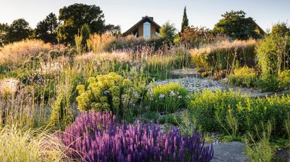dry garden at RHS Hyde Hall as an example of a sustainable garden