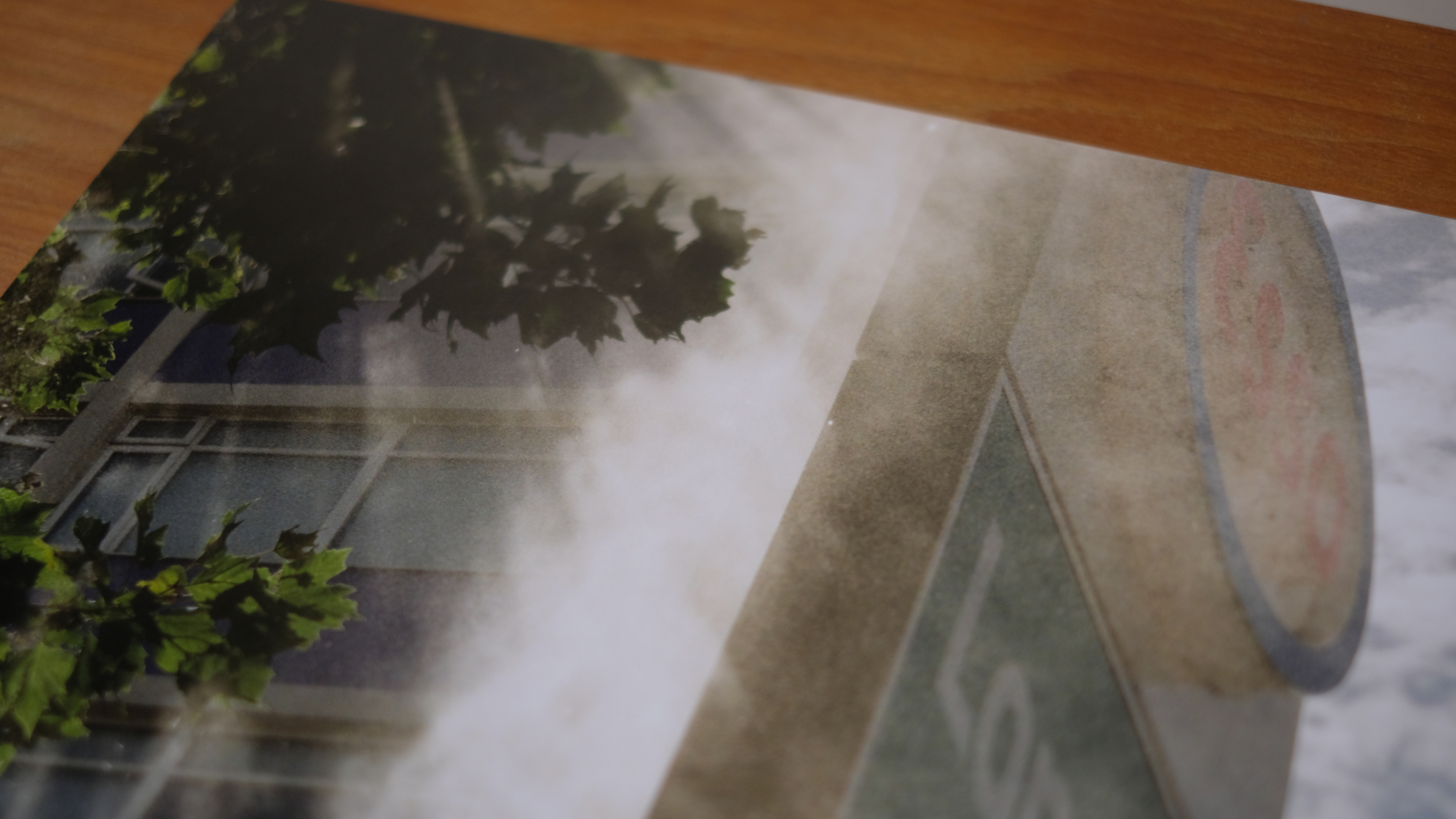 Photograph of a print made with Canon imagePROGRAF PRO-310