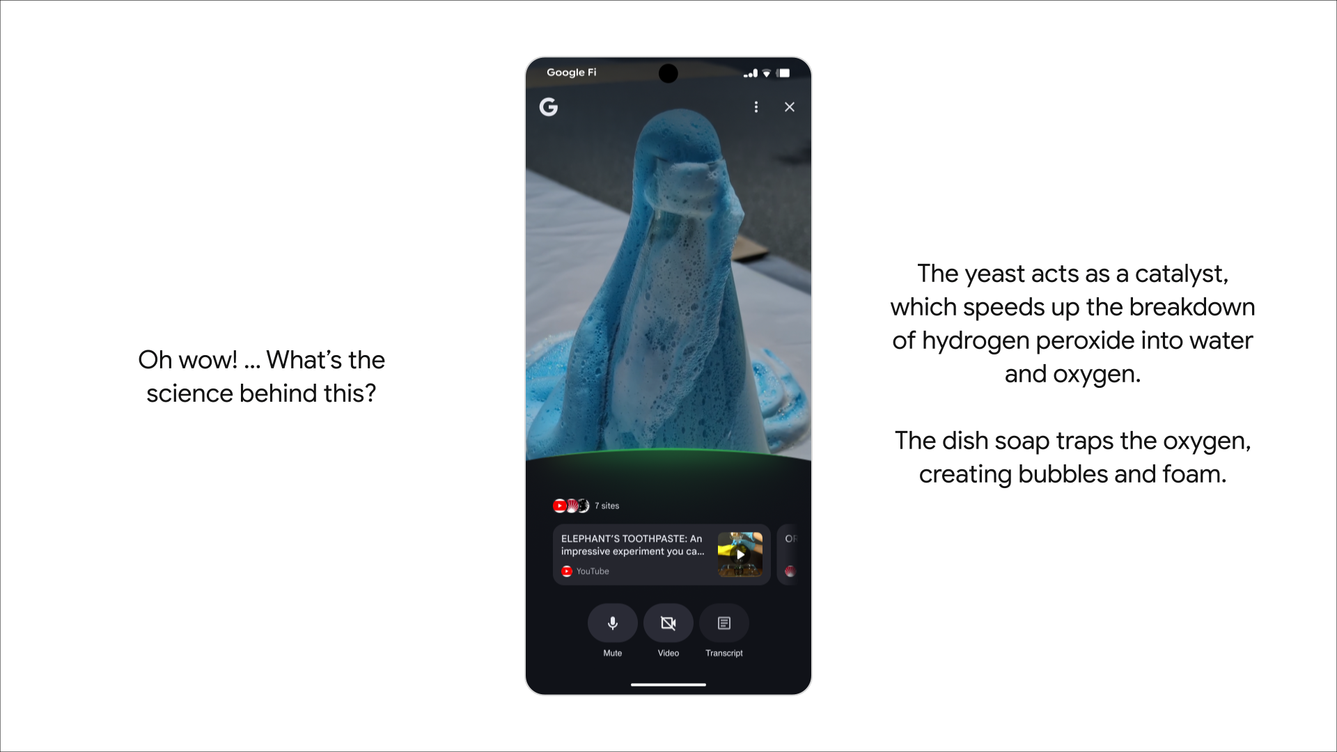 Search Live screenshot