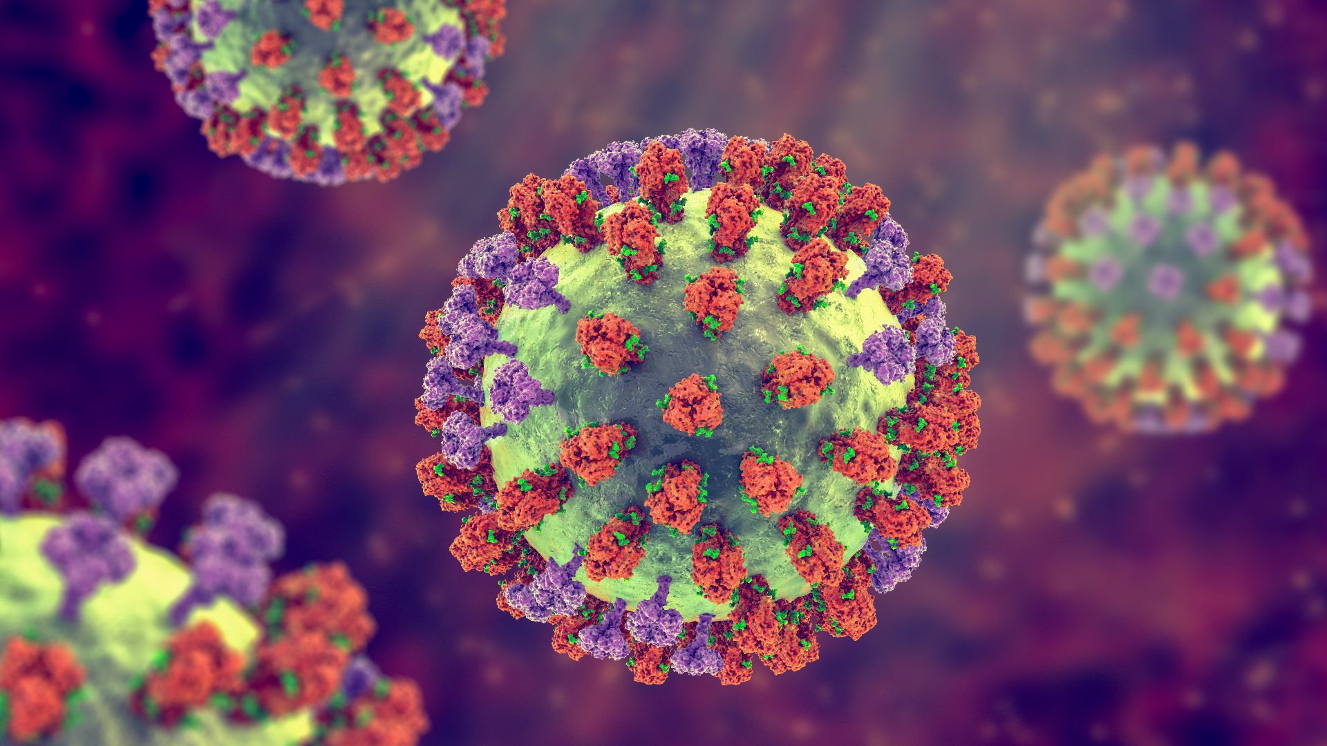 An artist's illustration of the flu virus