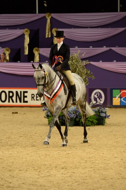 Faye Hesketh Flaygray 2014 1st Racehorse Credit ES Photography1