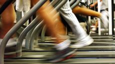 Legs of people running on treadmills