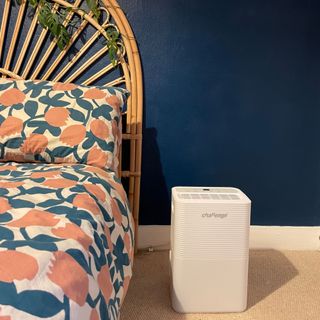 Challenge D015B 12L Dehumidifier on the carpet of a blue bedroom, next to a bed with pink and blue bedding