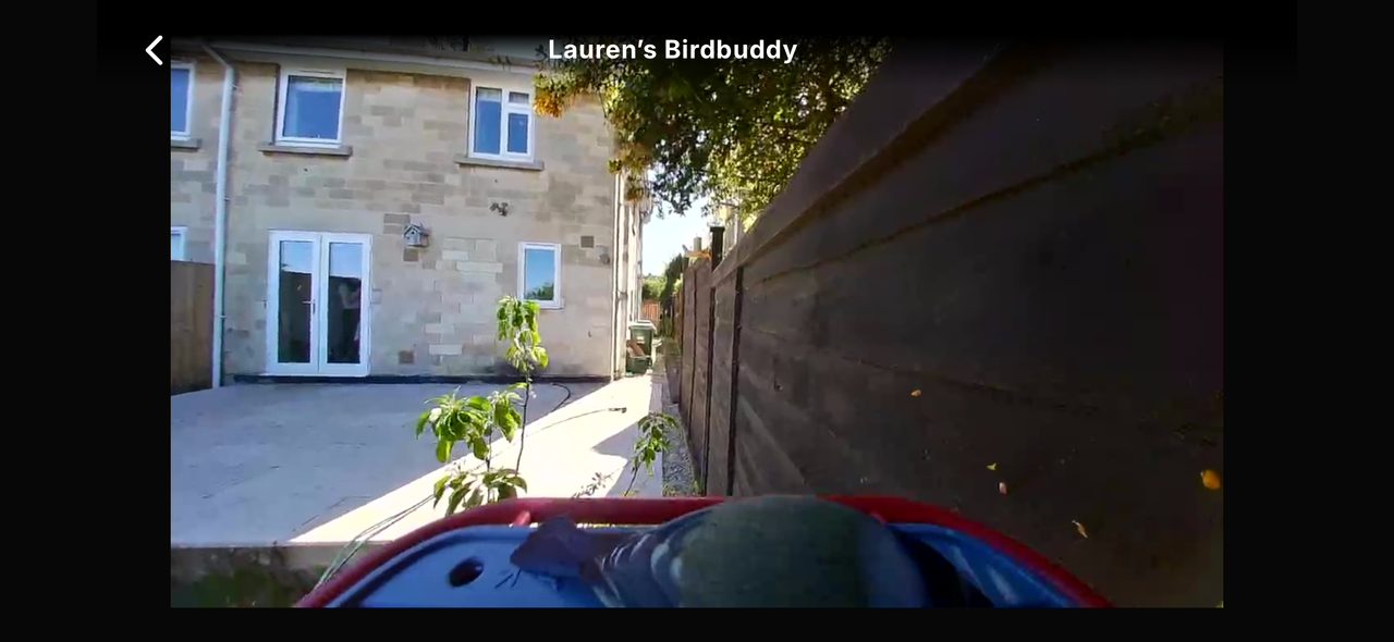 Screenshots from the Bird Buddy 2 app interface