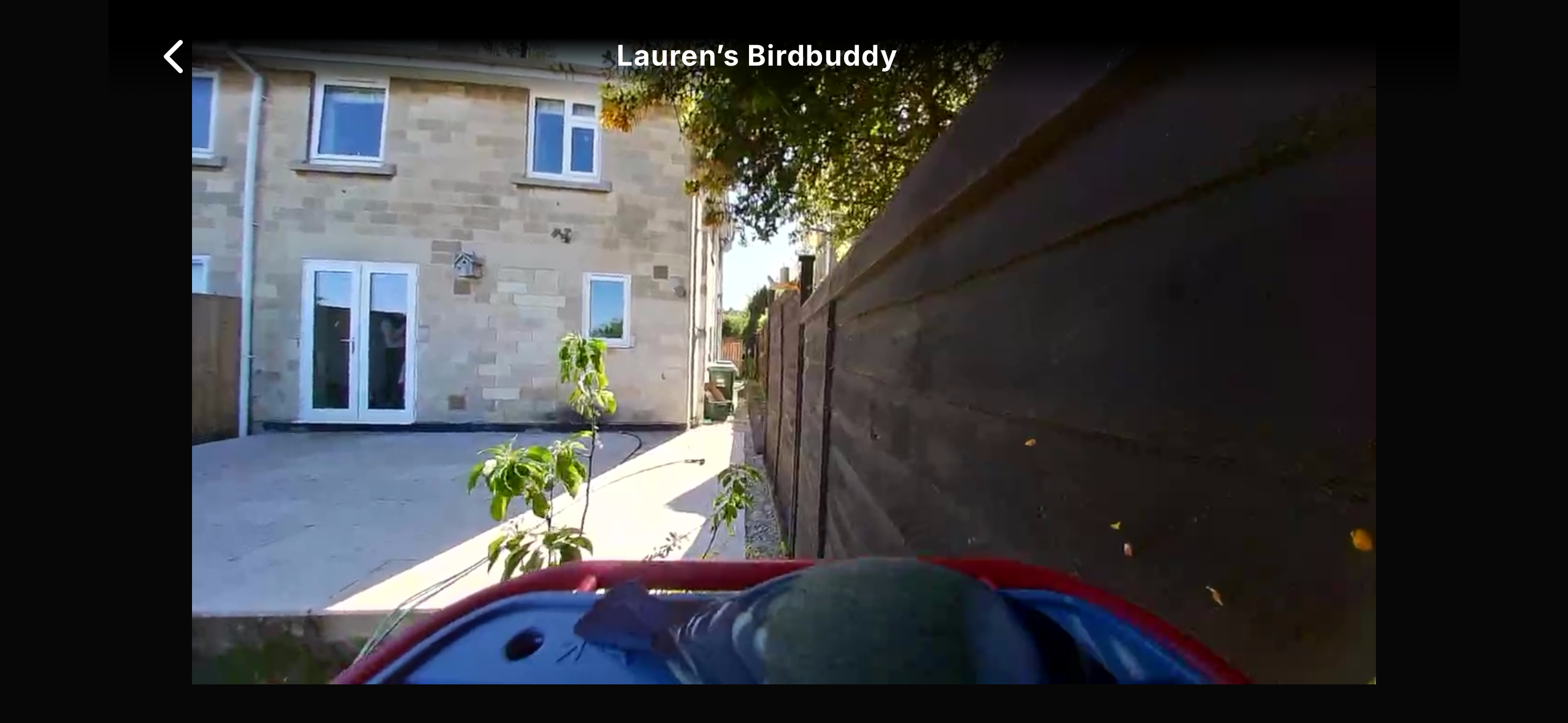 Screenshots from the Bird Buddy 2 app interface