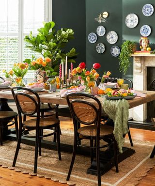A dark green dining room with a long wooden table with colorful candles, flowers, and tableware on it, with two wooden and black iron curved chairs underneath it and a scalloped jute rug underneath that