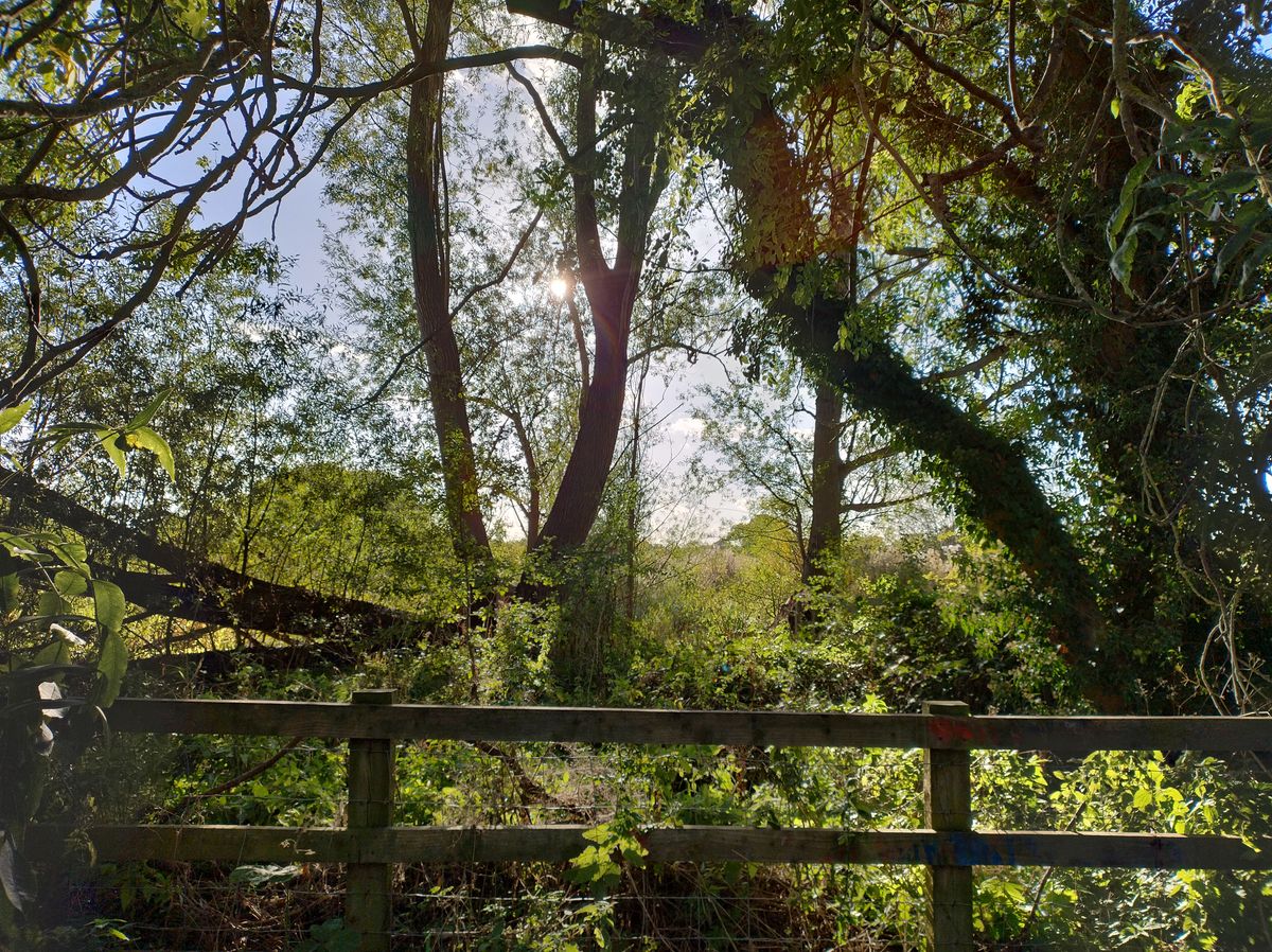 A Motorola Edge 30 Neo camera sample