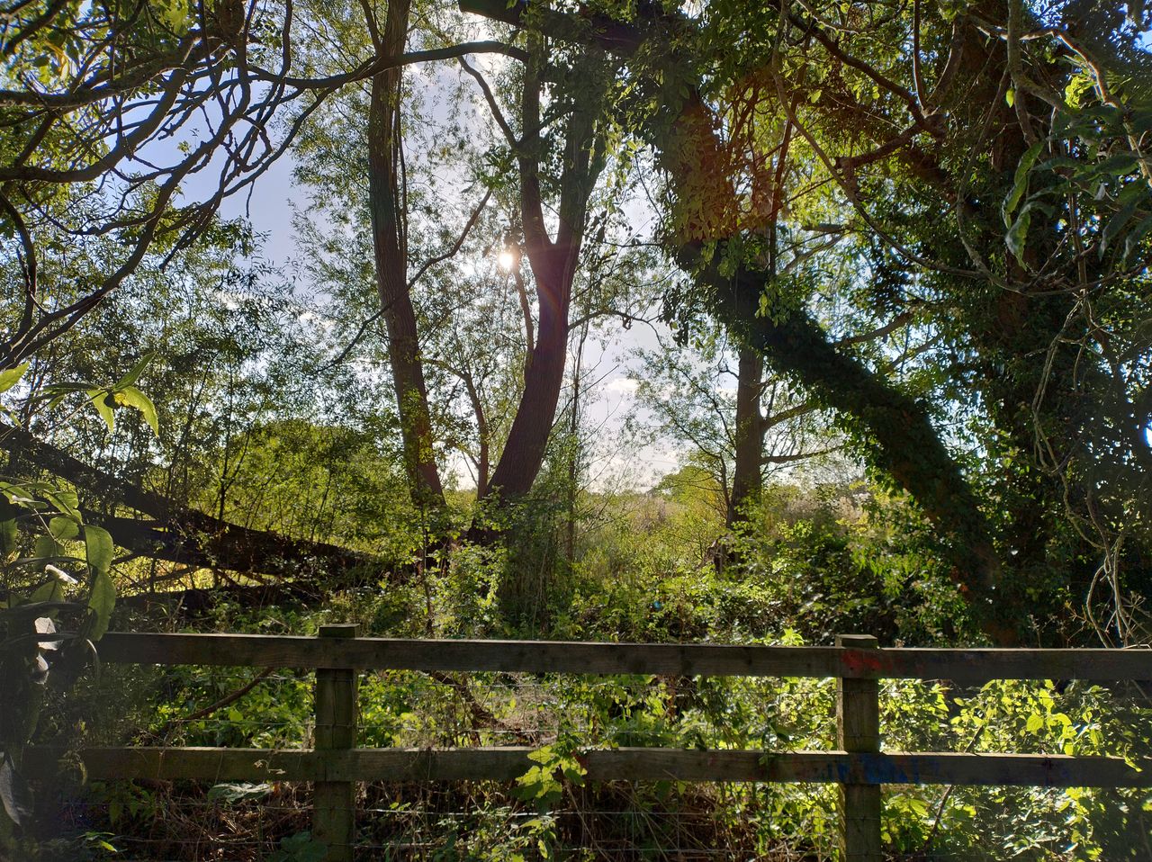 A Motorola Edge 30 Neo camera sample