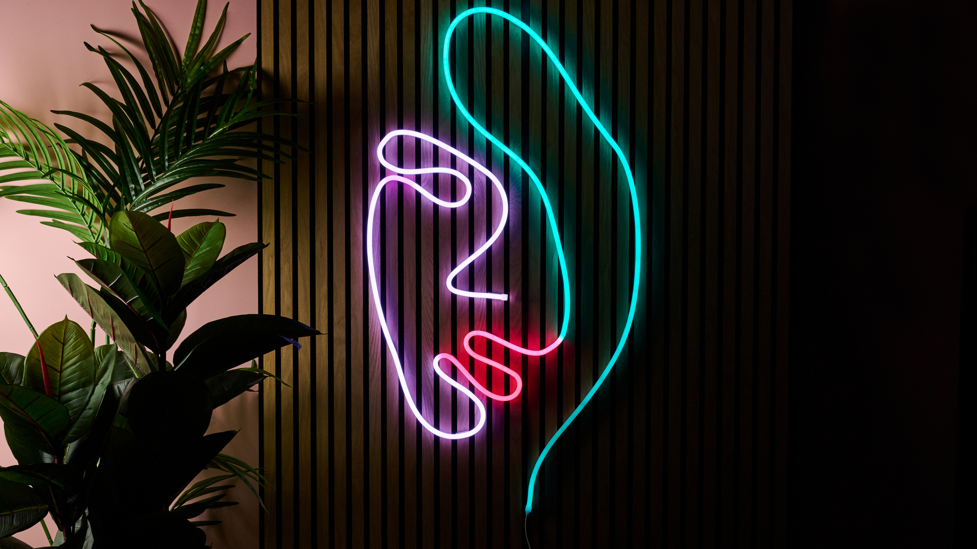 The rope light is in the shape of a woman's face.