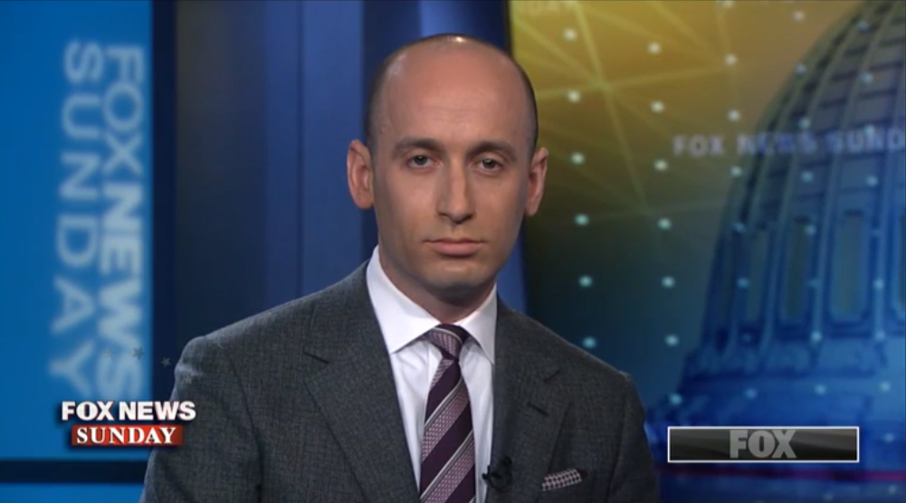 Stephen Miller on Fox News