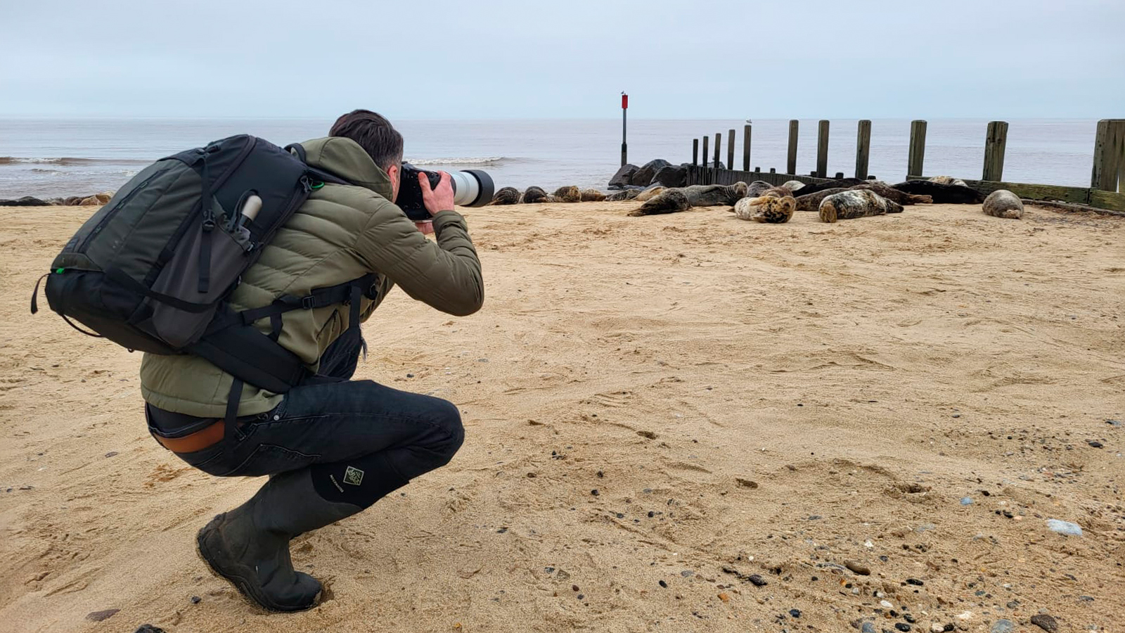 James Abbott shooting seals with the Canon EOS R1 and 200-400mm lens