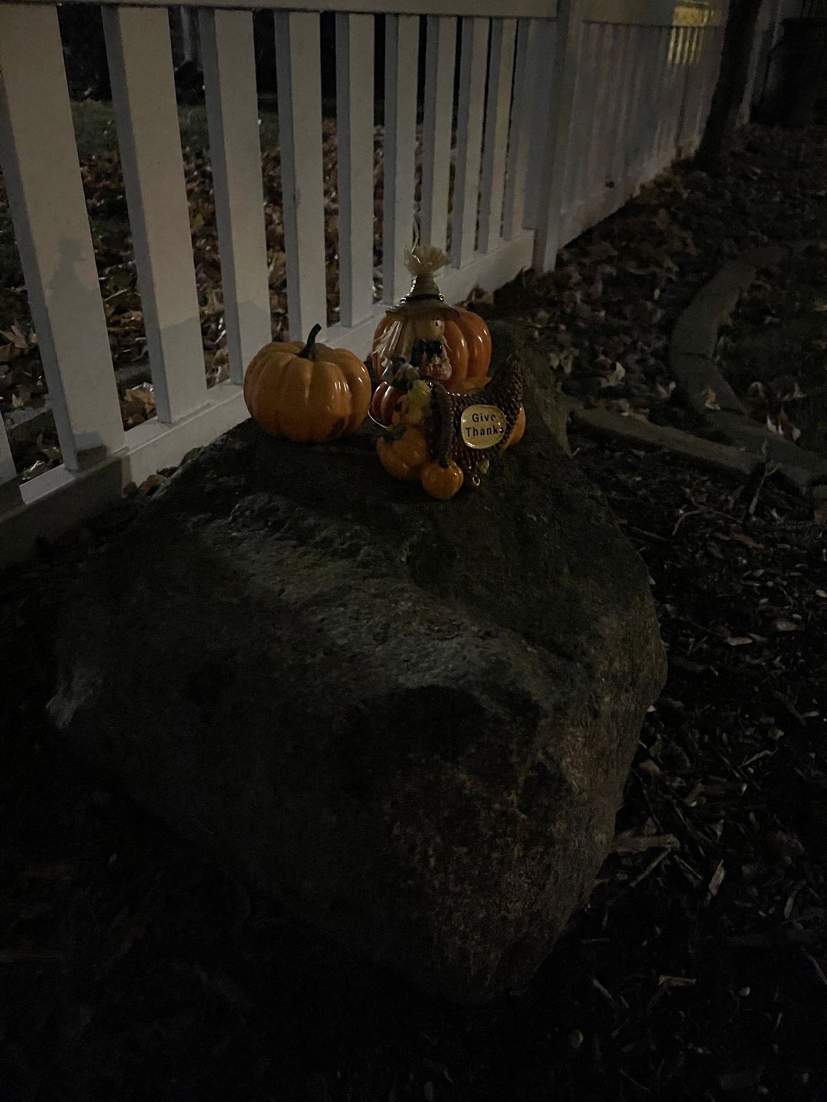 iPhone 12 Pro Max camera samples