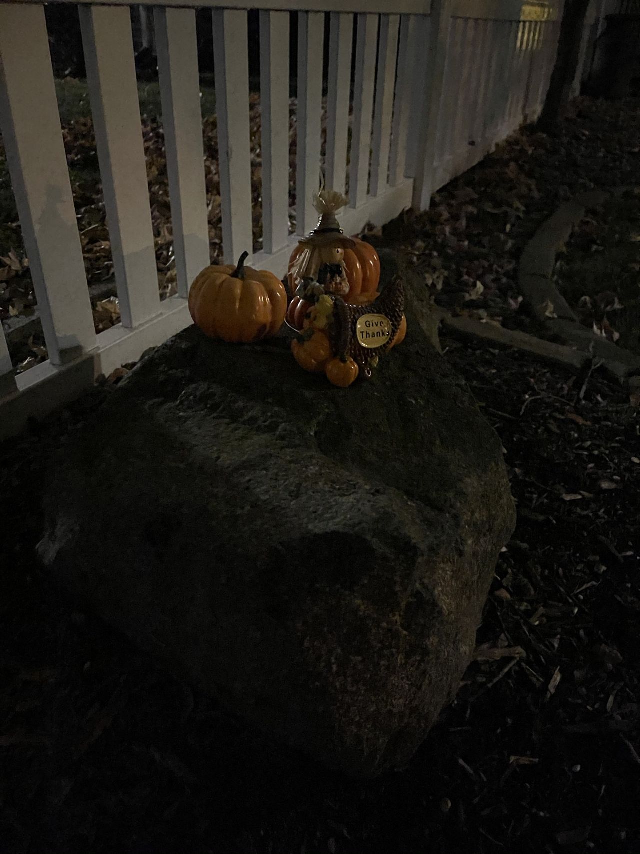 iPhone 12 Pro Max camera samples
