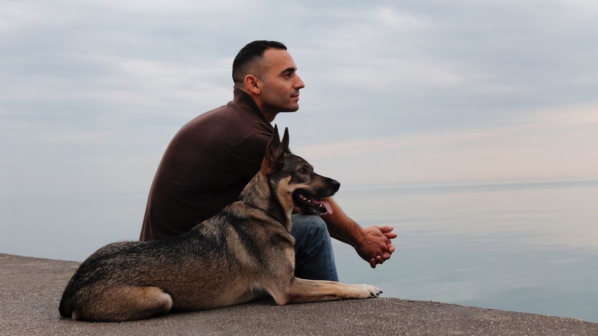 Man and dog looking out over tranquil lake