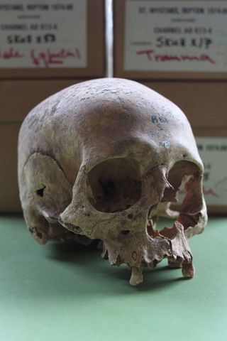 A female skull from the Repton burial.