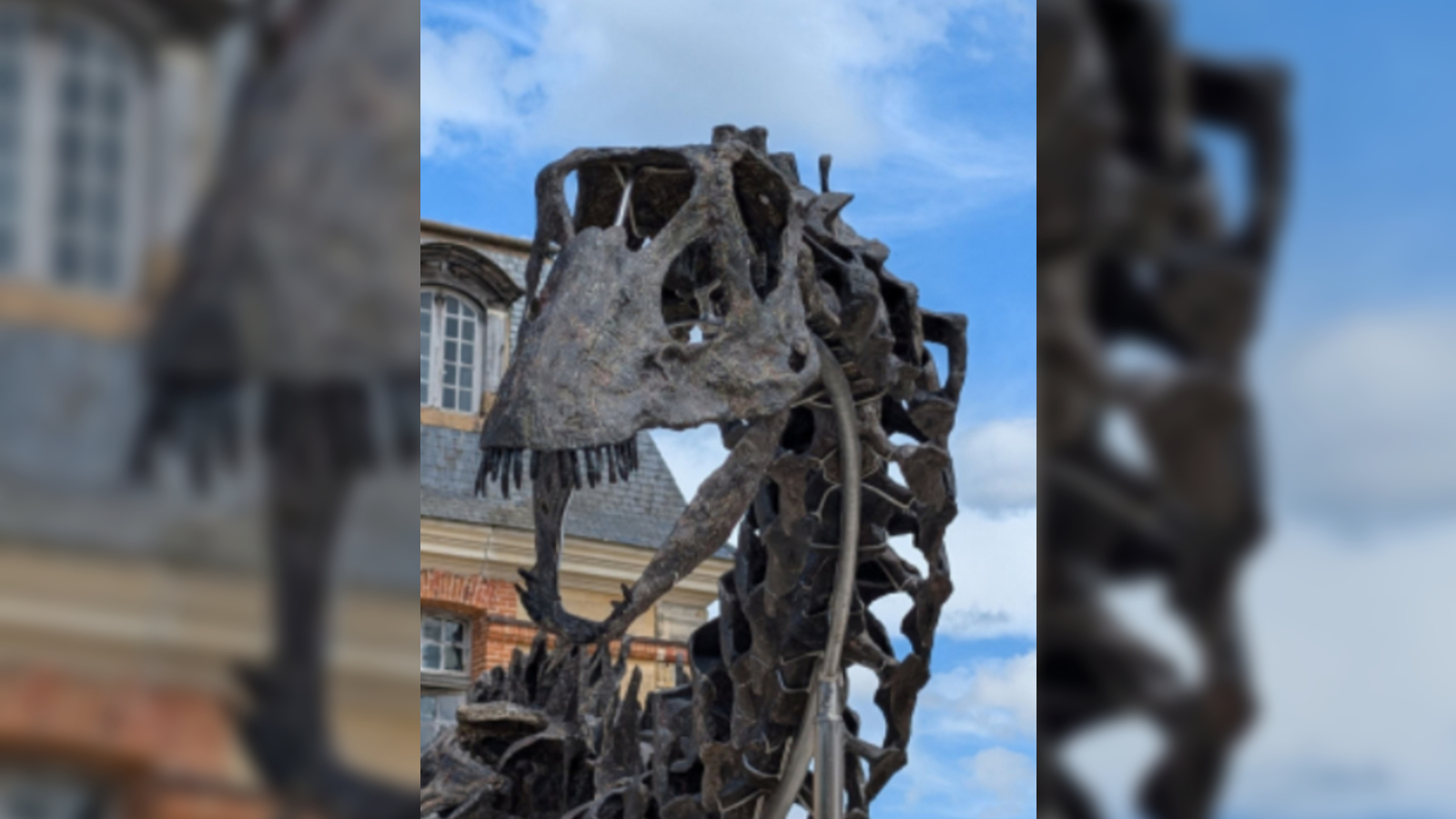 Close-up shot of a large dinosaur skeleton