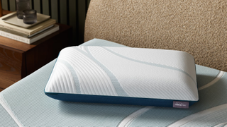 Tempur-Pedic Adapt pillow