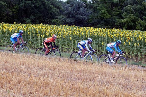 The break of the day rolling past sun flower fields, but there was no sun today.