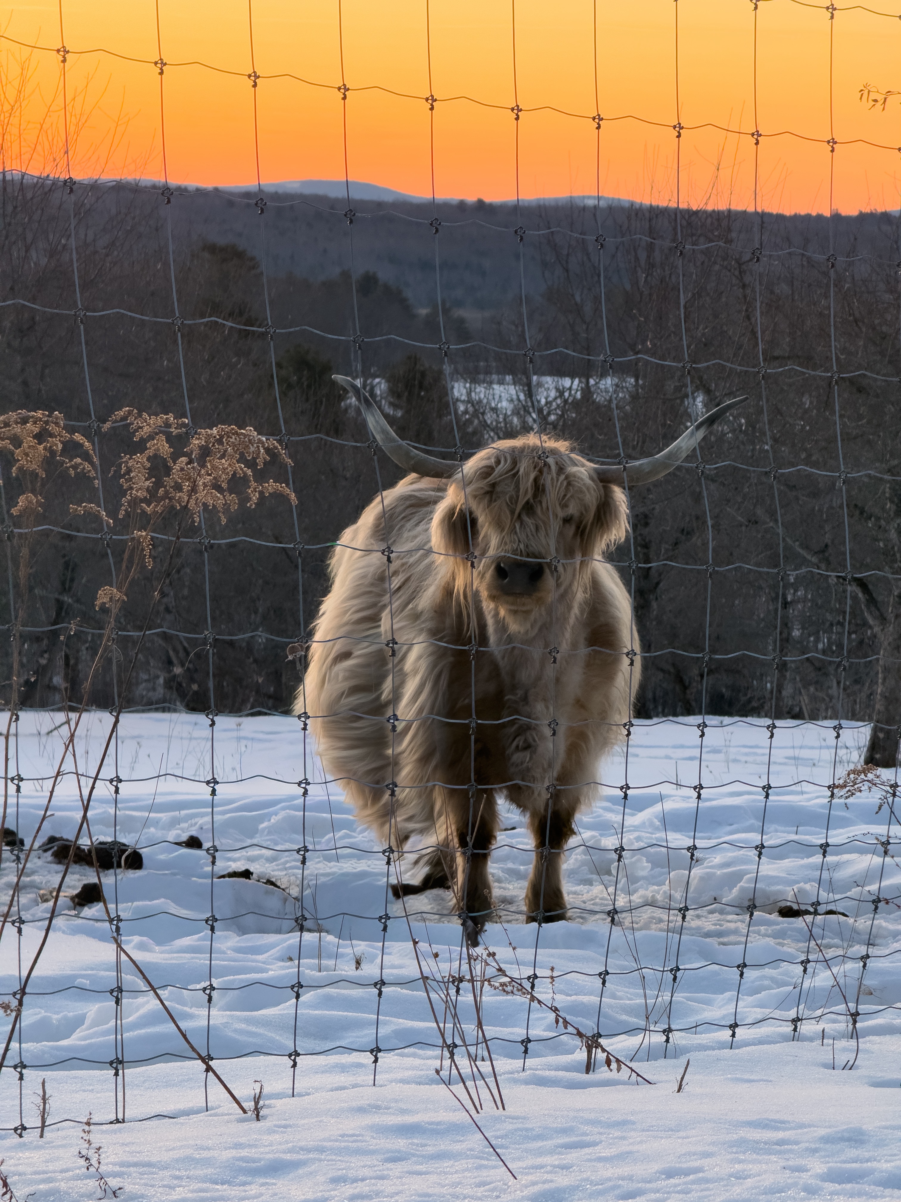 GuruShots - Nature&rsquo;s Masterpiece 2026