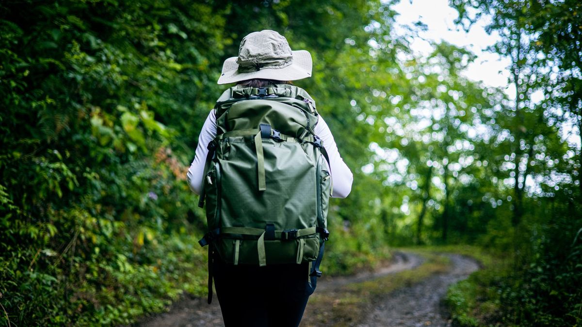 View of female hiker on forest road