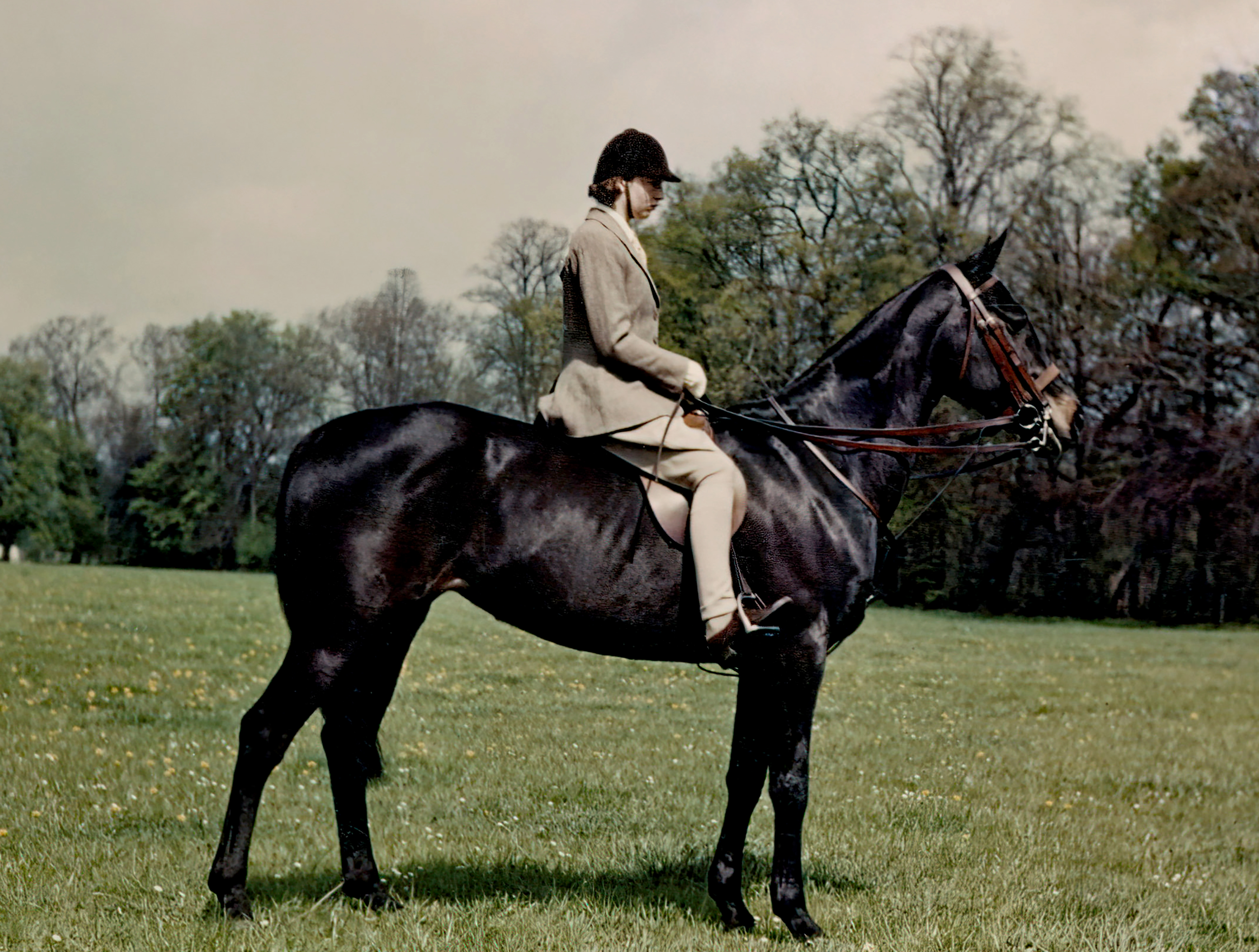 Profile of Princess Anne on horseback