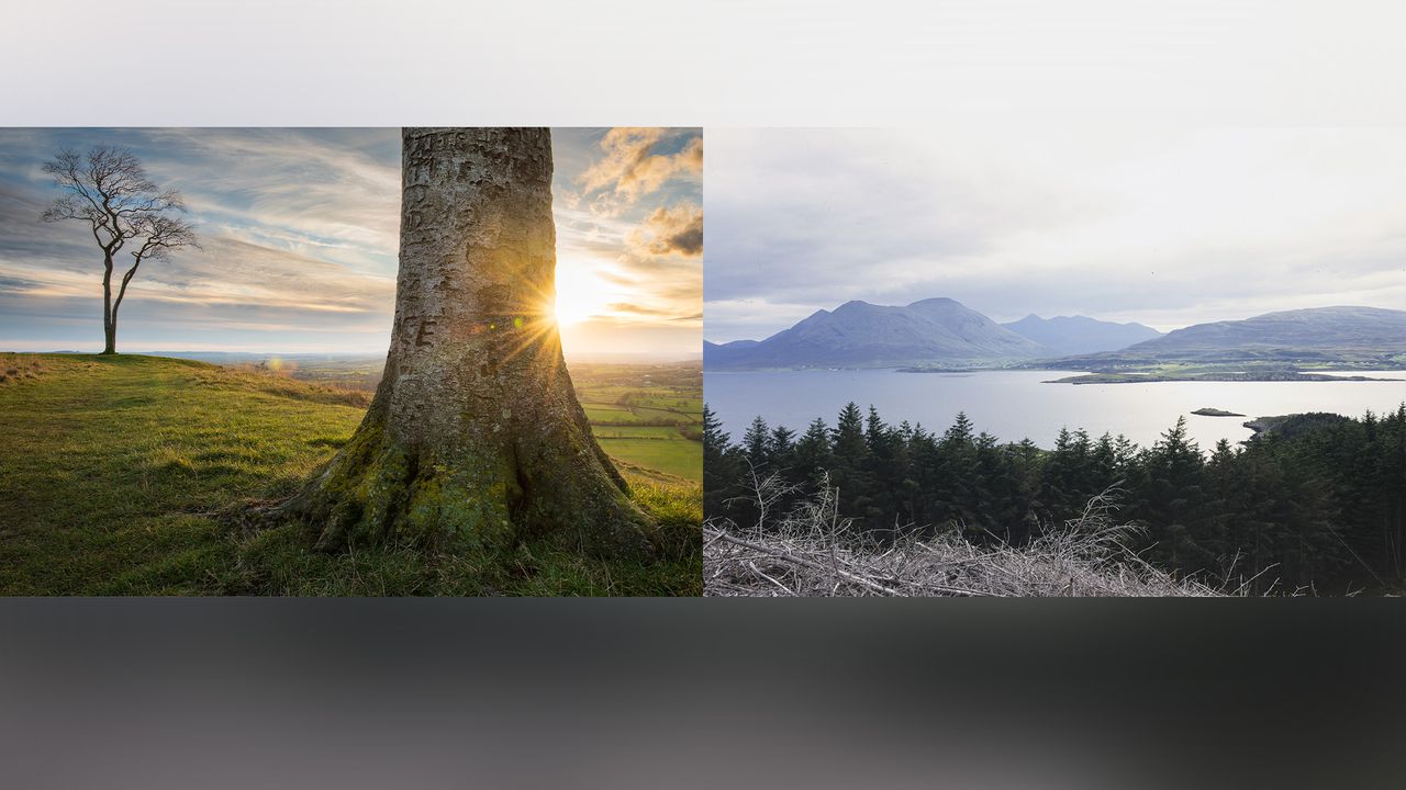 No-edit photography: that's great if you’re an amateur, not so great if you want to be a recognized photographer!