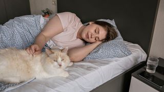 Cat sleeping on bed with owner