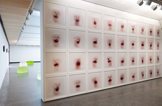 Wall of Roni Horn artworks in exhibition space