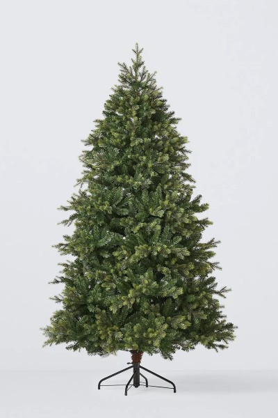 John Lewis Brunswick Spruce Unlit Christmas Tree, 7ft