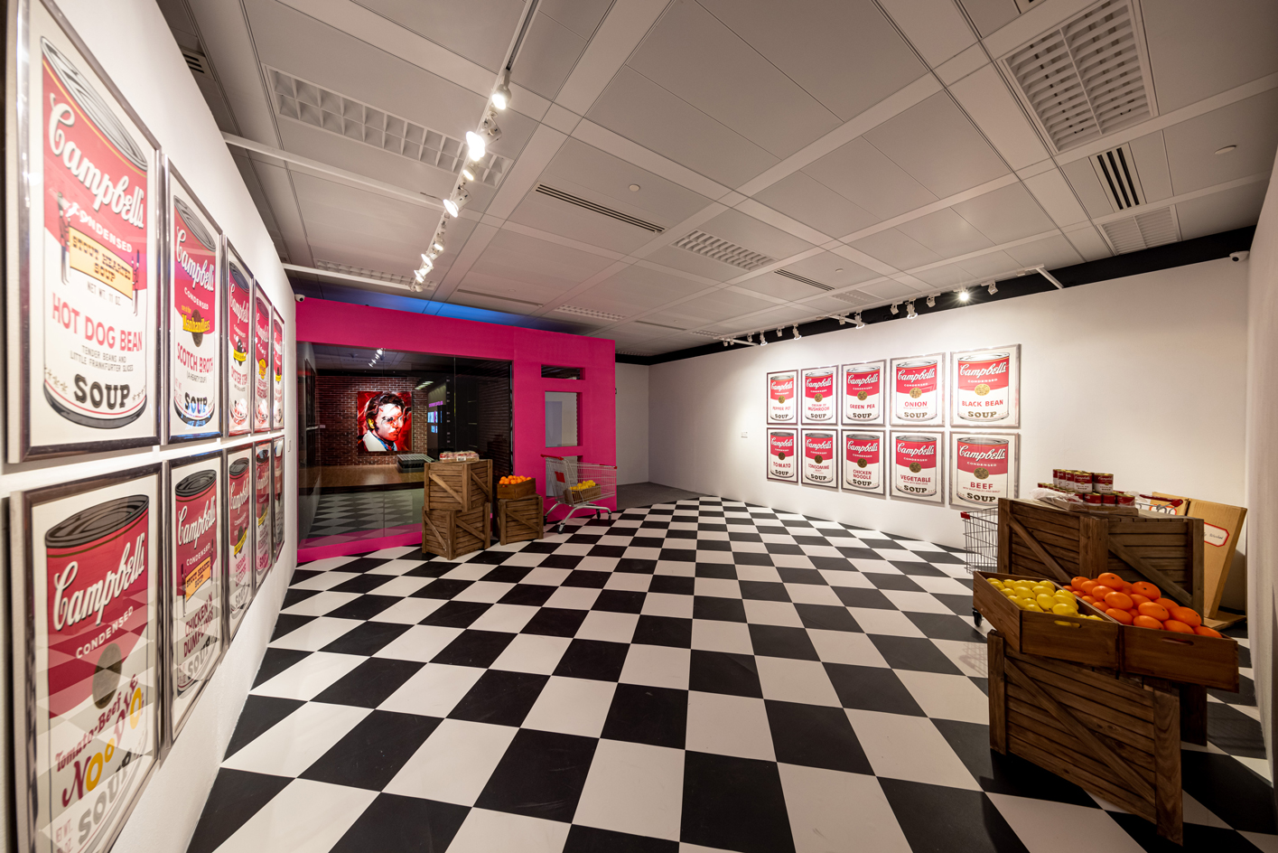 Andy Warhol's Campbell's Soup series
