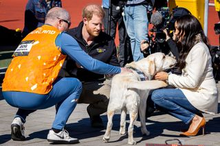 Meghan and harry new dog