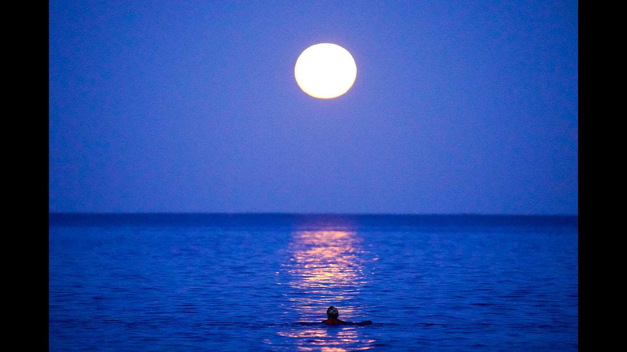 A swimmer enjoying the tranquil Atlantic waters under the rising Harvest Moon in Falmouth, Cornwall, U.K.
