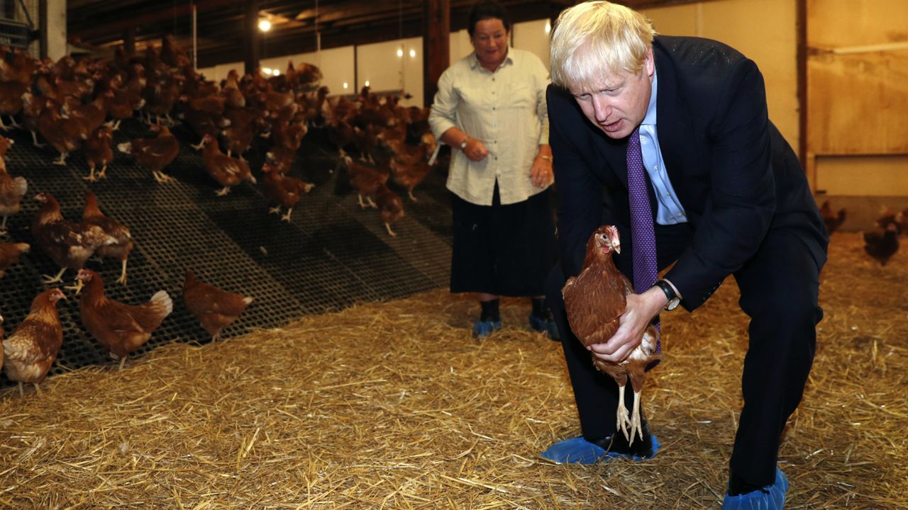 borischicken.jpg