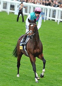 Frankel2.jpg