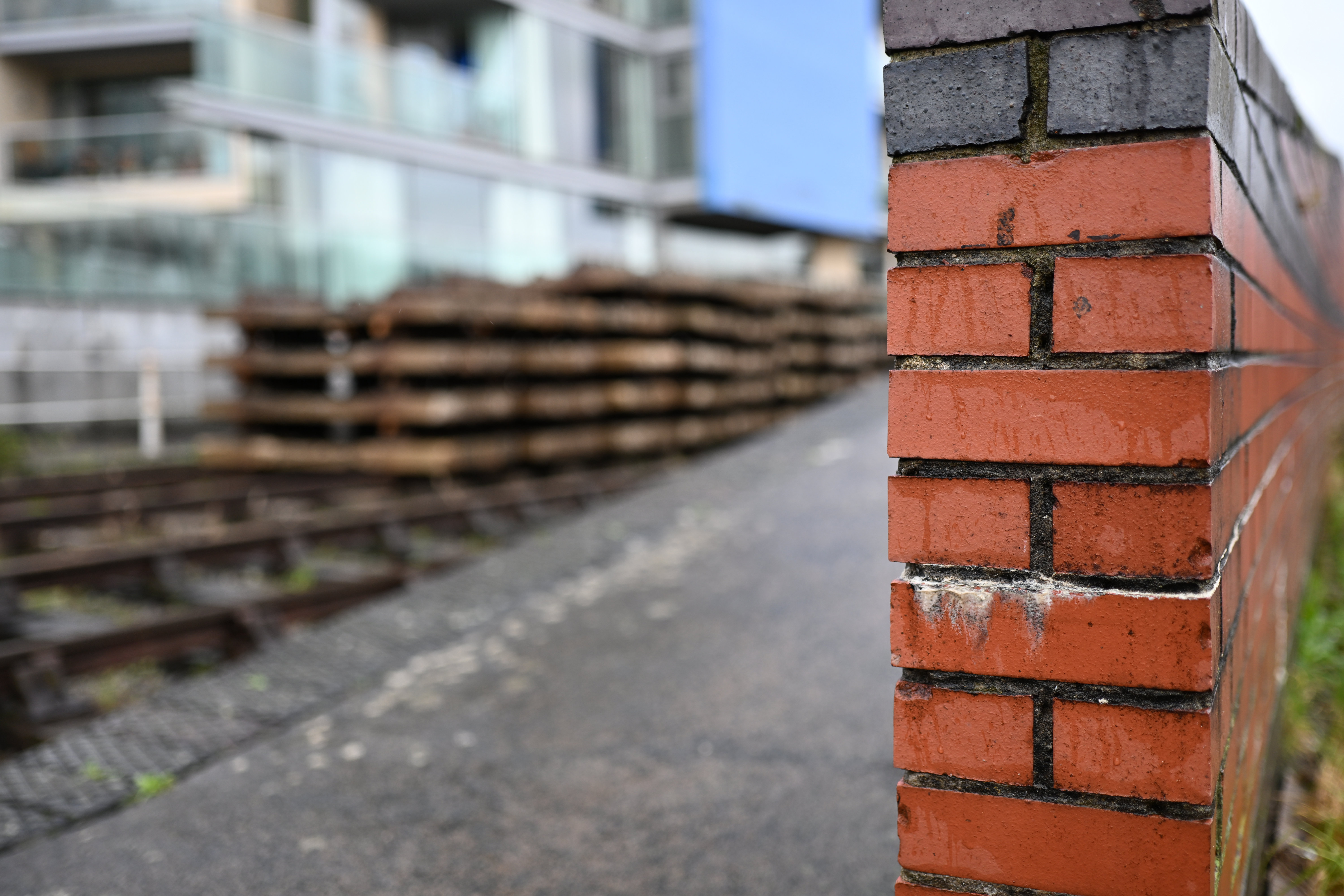 Meike 35mm f/1.8 Pro AF sample shot