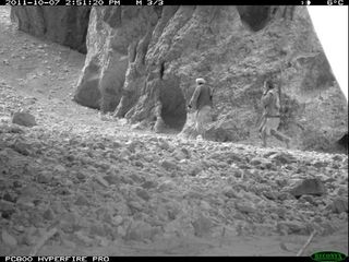 ibex poachers afghanistan camera trap