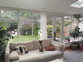 White uPVC windows in conservatory looking out onto garden