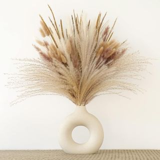 dried pampas grass from amazon