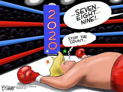 Political Cartoon U.S. Trump 2020 stop count votes