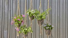 Hanging planters in front of a garden fence