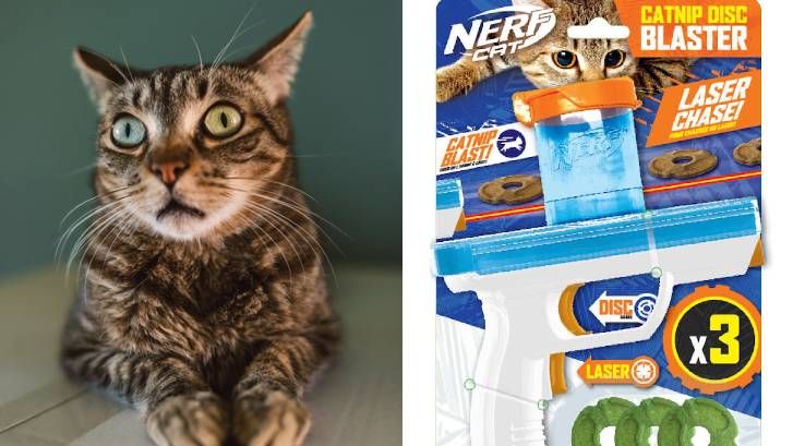 nerf cat catnip blaster