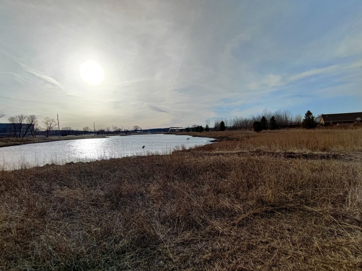 Asus ROG Phone 5 ultra-wide camera samples