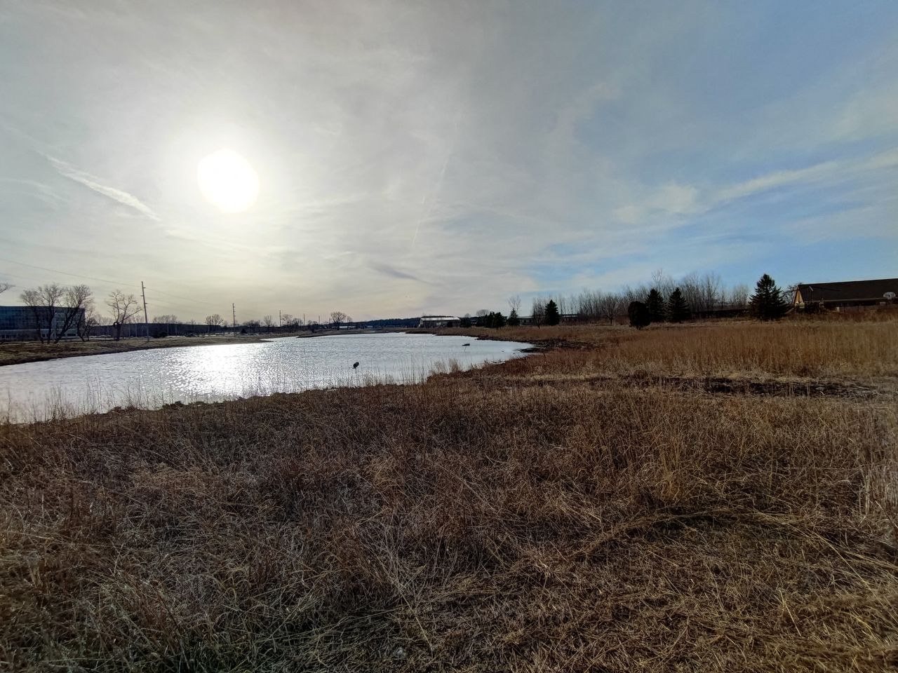 Asus ROG Phone 5 ultra-wide camera samples
