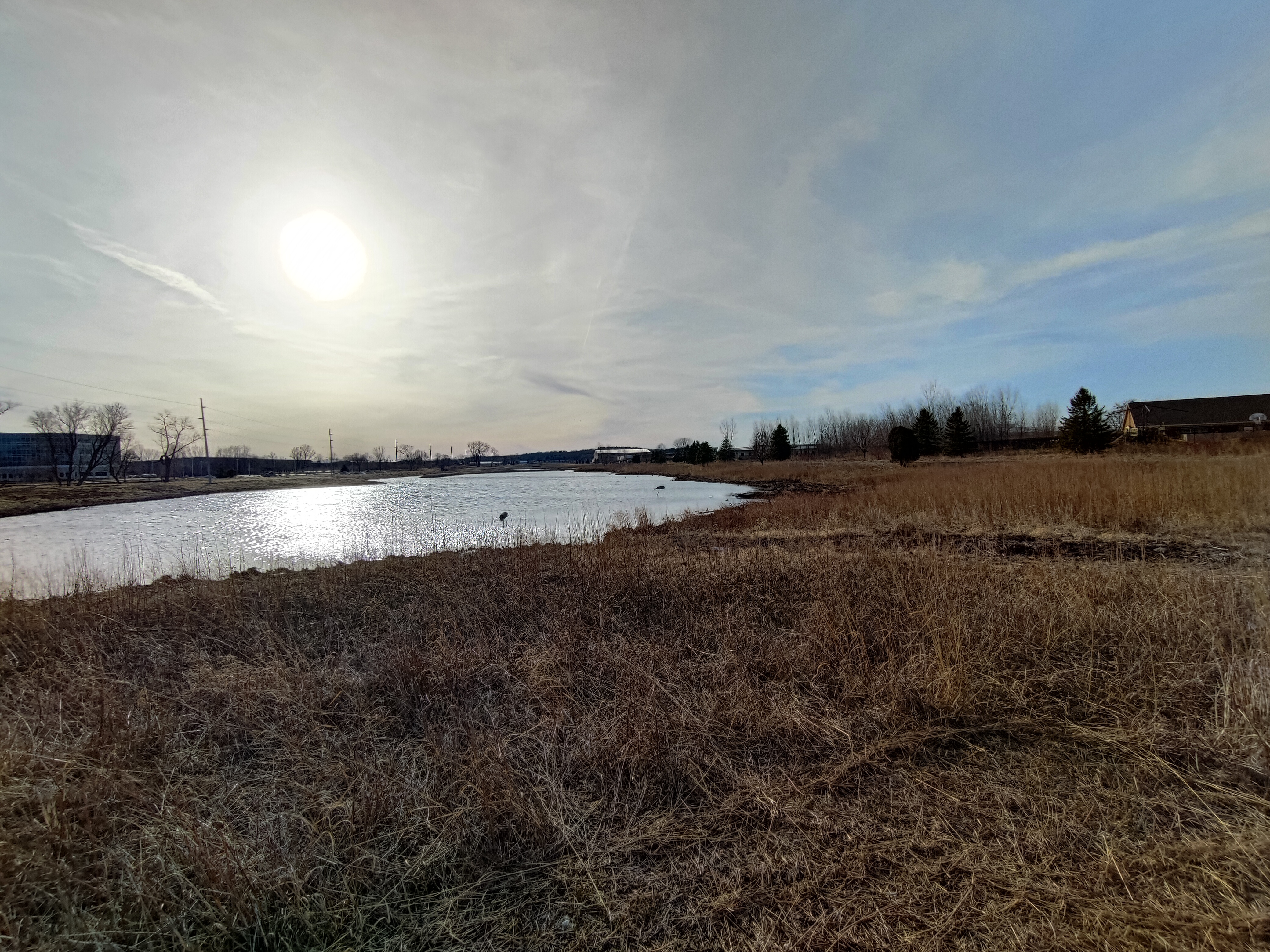 Asus ROG Phone 5 ultra-wide camera samples