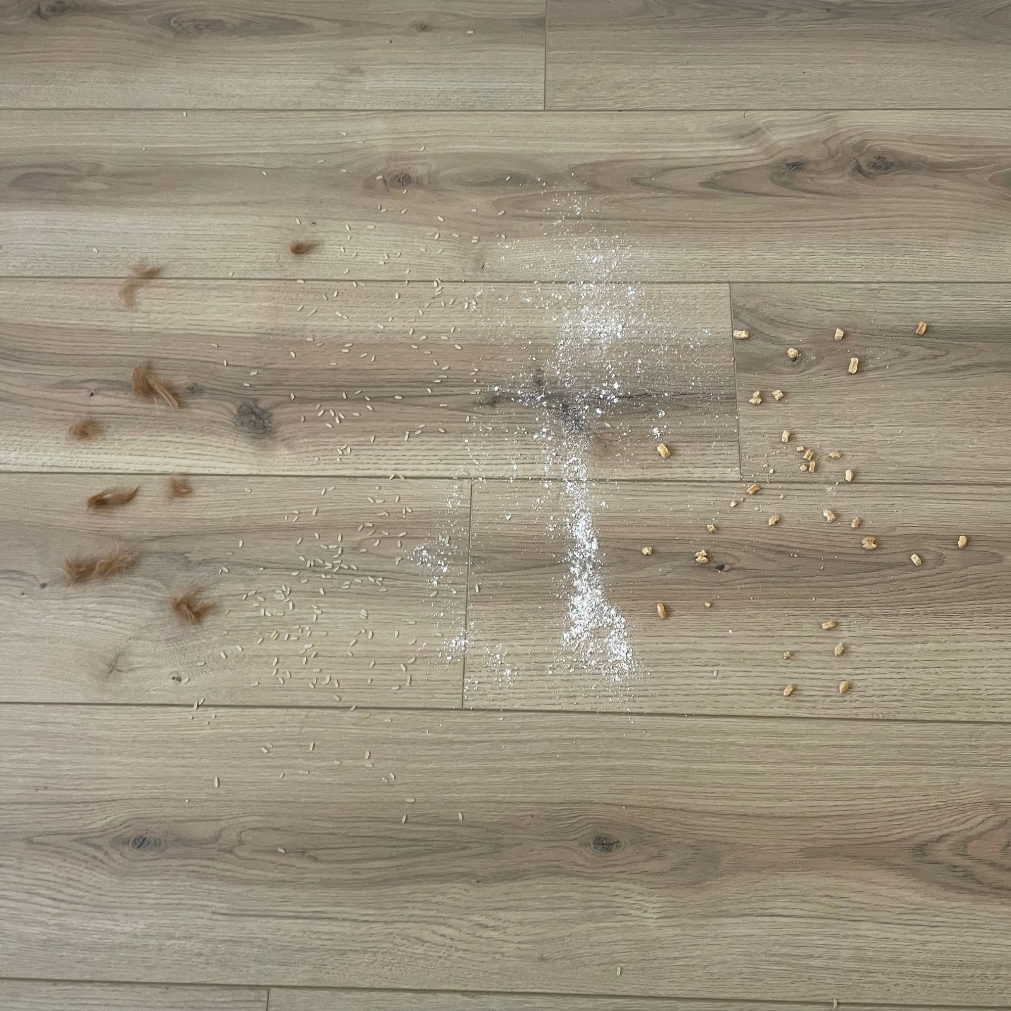 Hair, rice, flour and crushed cereal on wooden floor