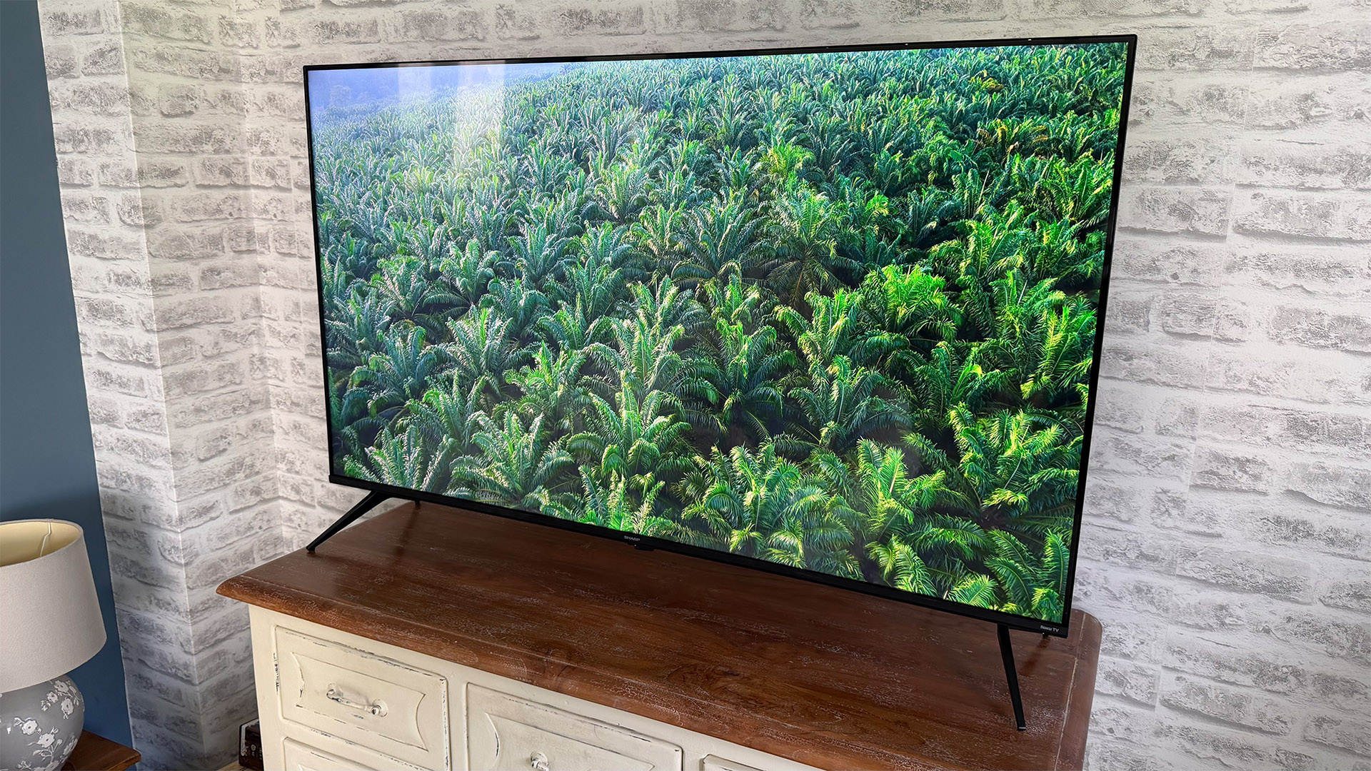 Sharp HJ6725K QLED TV on screen is overhead shot of jungle