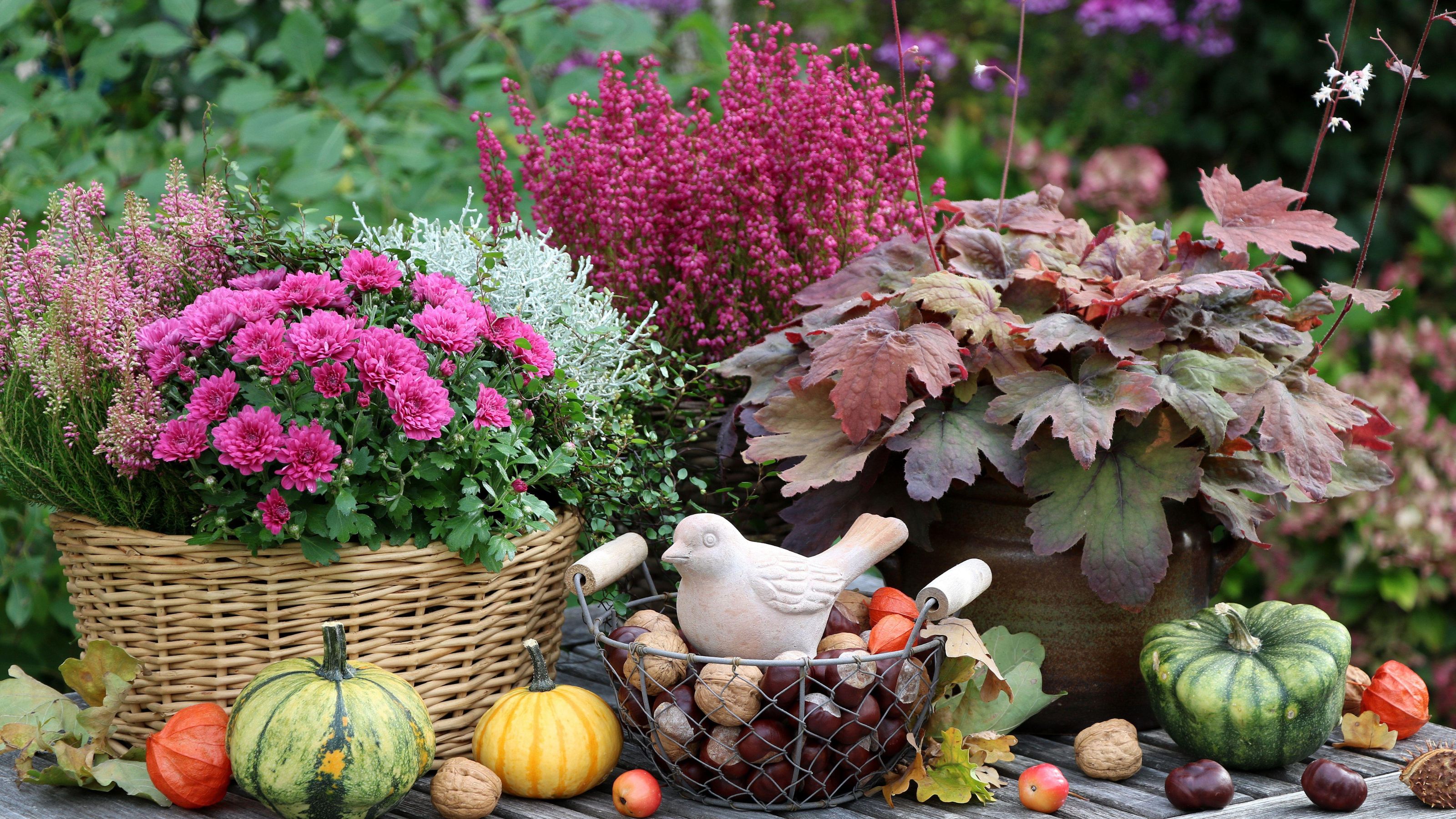 selection of autumn planters with pumpkins
