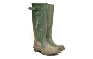 wellington boots